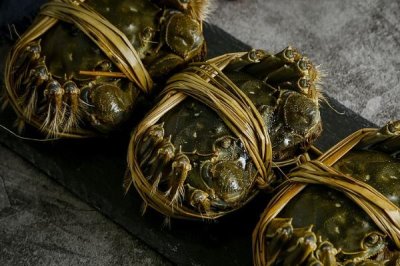 洪湖市大闸蟹为什么品质佳，当地有着苛刻的水域环境