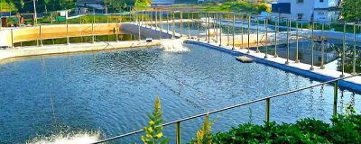 鱼塘溶氧过高有什么危害,会对鱼卵孵化和鱼苗不利