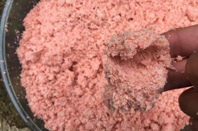 西南风天气能钓到鱼吗,鱼儿的活性明显下降