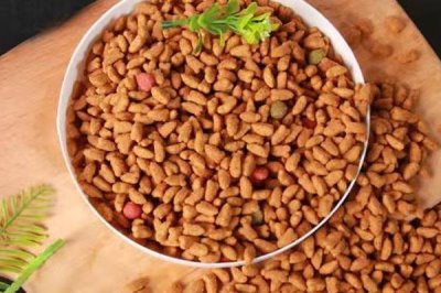 猫咪得了黑下巴如何治疗,建议多注意日常清洁