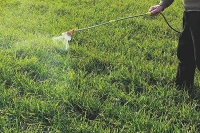 除草剂能和杀虫剂混用吗,可以和菊酯类杀虫剂混用