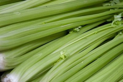 芹菜如何保存，可放置在比较阴凉的地方