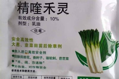 精喹禾灵对下茬作物的影响,对下茬作物基本没有影响