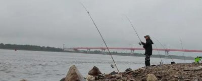 钓淡水鲳鱼用什么饵料,首选的饵料就是荤饵