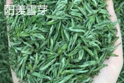 江苏名茶推荐,介绍排行榜前十名