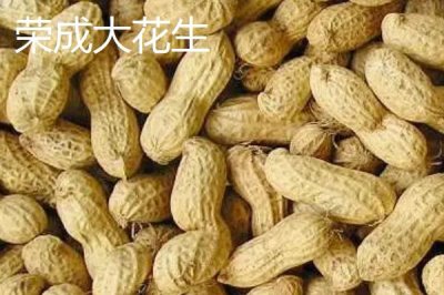 山东荣成的特产，荣成海参堪称参中之王