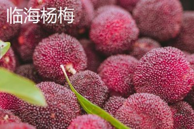 浙江省诸暨市的特产,同山烧被誉为“江南小茅台”
