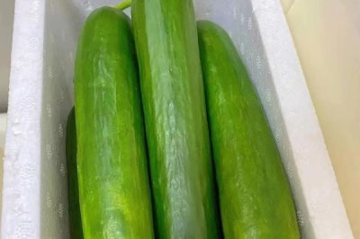 水果黄瓜可以生吃吗,可直接将其洗净生吃