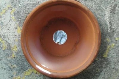 三角梅怎么过冬，将环境的温度控制在15度左右