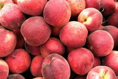 血桃的成熟时间，一般在5-6月份成熟上市