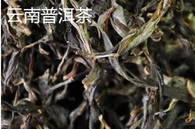 中国有哪十种名茶，各有特色