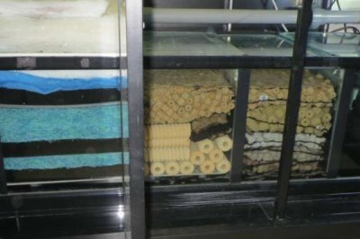 养鱼是否需要滤材,一般是需要滤材的