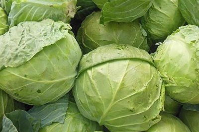 哪些因素会影响蔬菜价格,气候和消费导向直接决定价格