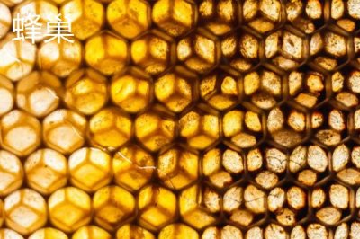 蜂巢和蜂胶的区别,来源、作用和成分均不同