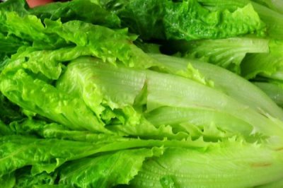 四季可种的蔬菜有哪些,有辣椒、土豆、生菜等