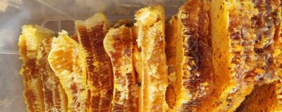 蜂蜜有几种颜色,主要有白色、水白色、琥珀色等7种颜色