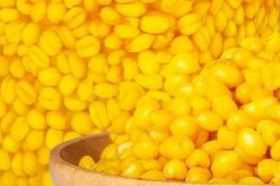 草鱼的钓法,用海竿最好