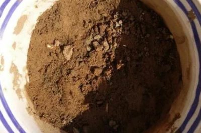 家庭版黄瓜种植技巧,一年四季均可播种