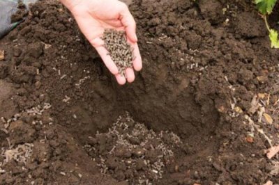 钙镁微肥的施用技巧,常见以下5种方式