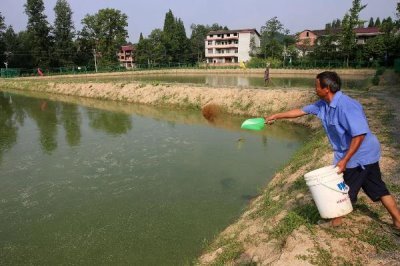 河蟹如何越冬，条件允许的情况下应该要注水2-3次
