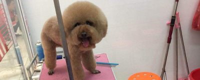 投资小的冷门暴利行业,根据实际情况谨慎选择