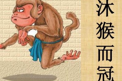 沐猴而冠的释义,比喻虚有其表、形同傀儡