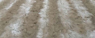 农药残留是什么,是指农药使用后在土壤和水体等的残留