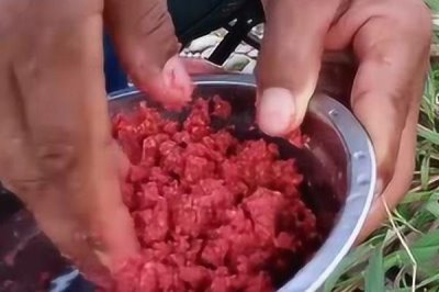 鳟鱼适合用什么饵钓，真饵和拟饵都适用