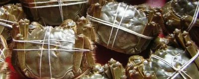 螃蟹的价格,不同品种的价格不同