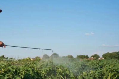 除草剂怎么施才不影响作物生长,需根据土壤的特性来喷施