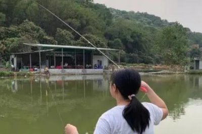 钓鲫鱼实用技巧,一年四季都可以作钓