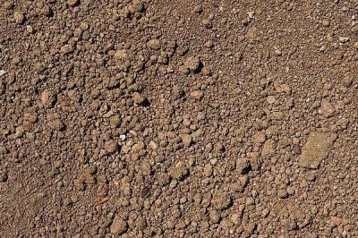 用什么土壤种植北豆根,使用疏松透气、排水良好的土壤更合适