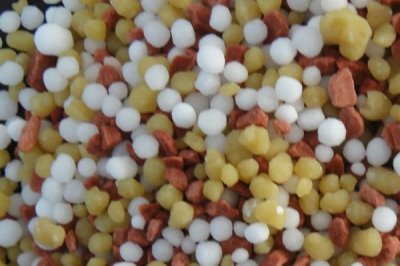 怎么养殖小龙虾,清塘消毒、培育浮游生物后再放入虾苗