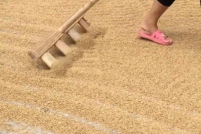 稻谷和玉米的储存年限，长江以南、以北储存期不一致