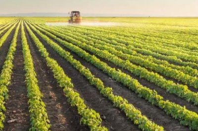 我国未来的农业发展趋势,有机农业前景可观