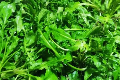 河南野菜的种类,你吃过哪几种