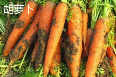 胡萝卜能不能生吃，生吃营养价值更高