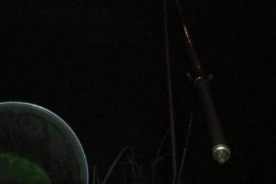 晚上蚯蚓钓鱼没鱼吃是什么原因,要注重打窝