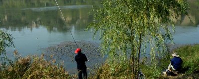 秋季钓鱼的适宜时间，初秋适合在早上或下午出钓