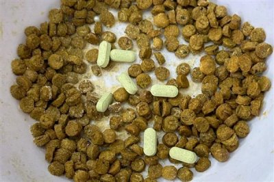 给猫咪喂食猫草片的作用,可帮助猫咪将体内堆积的毛球