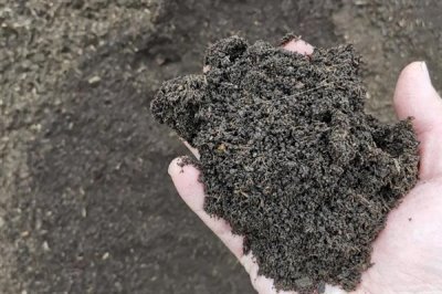 有机肥搭配使用有什么好处，可以减少化肥的副作用