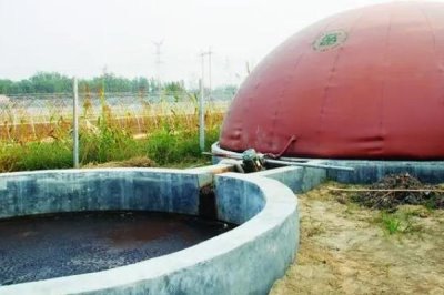 养鸡场鸡粪怎么处理,一般作肥料使用