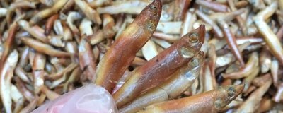 河北省安新县的特产,白洋淀熏鱼深受旅客欢迎