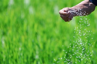 复合肥的标准标识，应标注出养分含量、国家标准肥料名称等信息