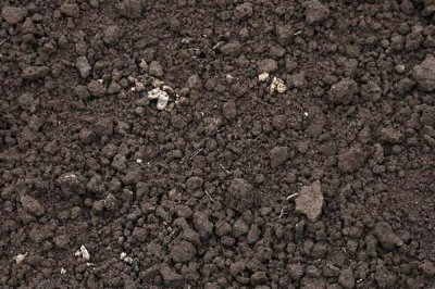 茉莉花茶的产地,主要生产于福州、元江、横县等地