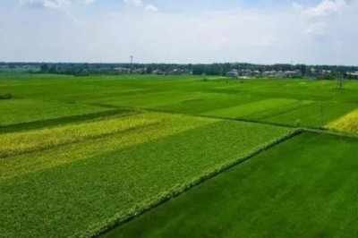 村干部能不能收回死者的承包地进行再分配,承包地可由家庭其它成员继承