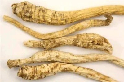 沙参的市场价格,一斤售价15元左右