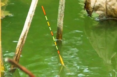 传统钓法怎么调漂,使用七星漂可采用重铅找底、上移漂豆等方式