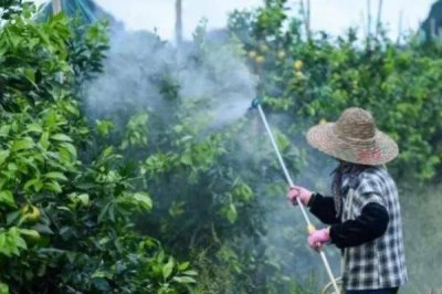 恶霉灵的使用注意事项,不可与强碱性农药混合使用