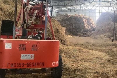 养牛如何节省饲料，可将草料进行加工或配合饲料